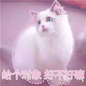 撩妹表情包全套萌图,萌化妹子的心 撩妹表情包全套萌图,萌化妹子的心第3张